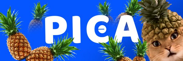 picaonbase Profile Banner