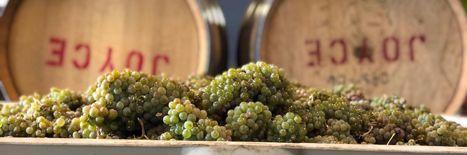 Joyce Wine Company banner