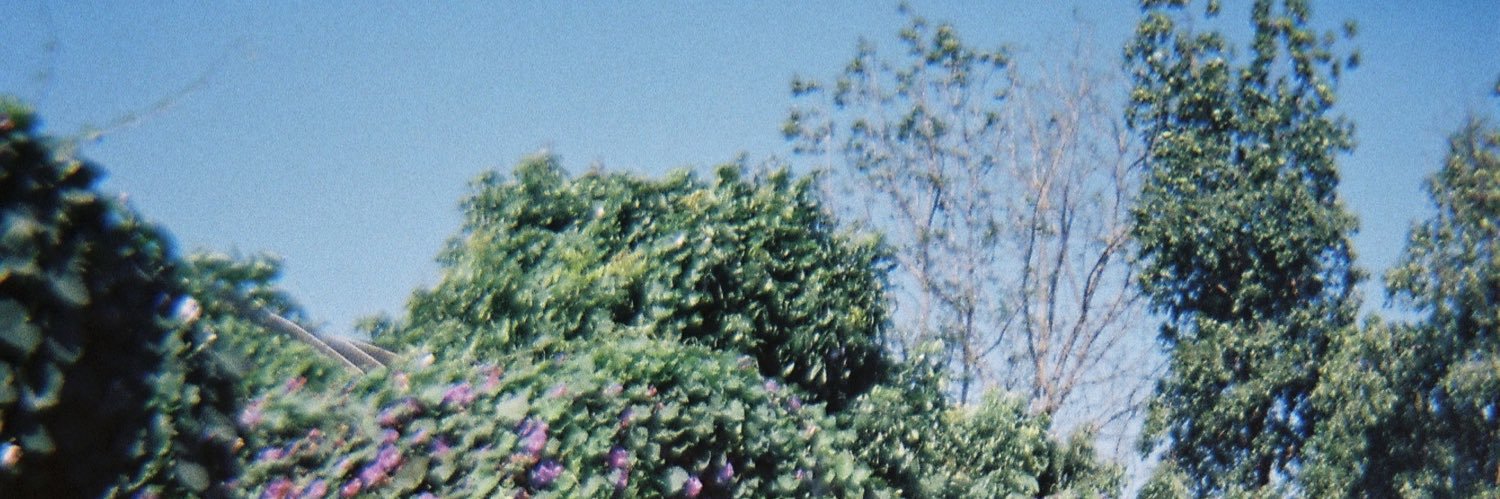 iladayoung's profile banner image