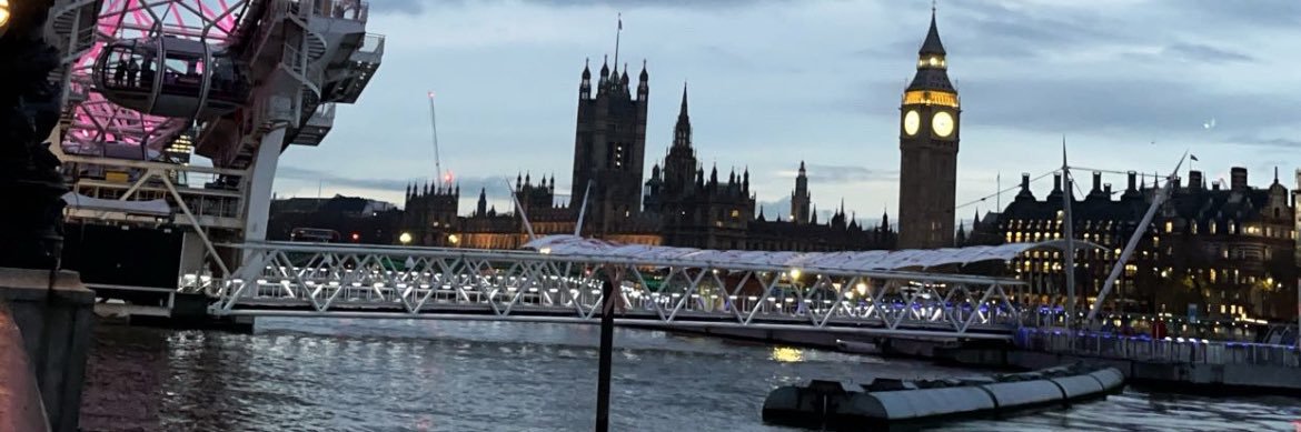 diana_alballam banner