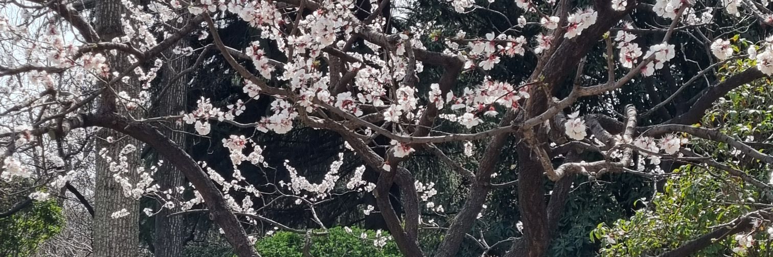 n3ltu0mar3's profile banner image