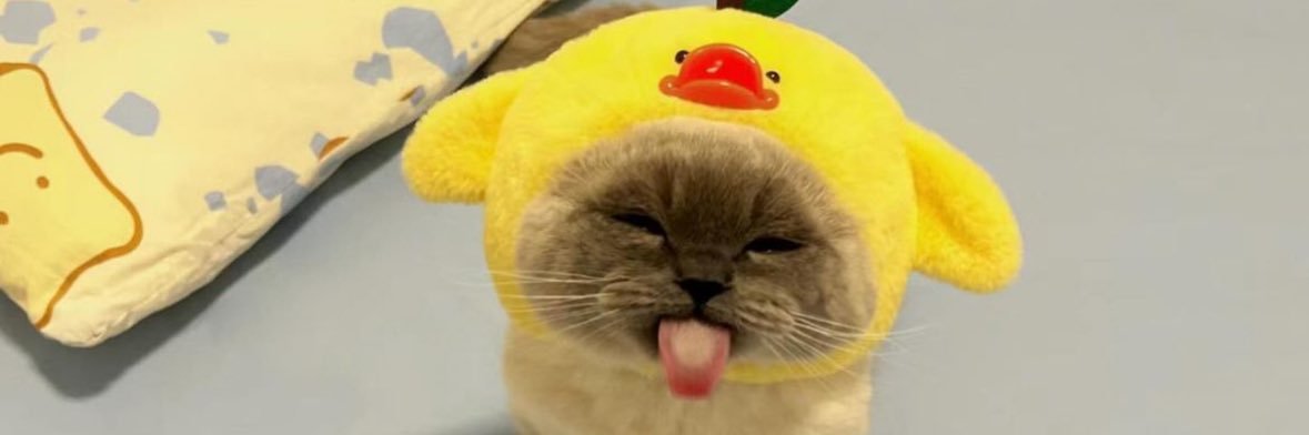 sgtfatnuts's profile banner image