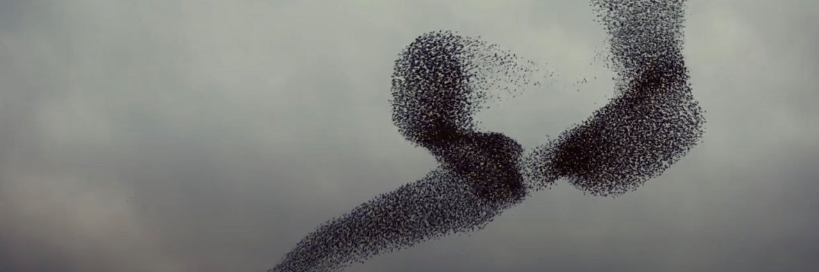 Project Starling banner