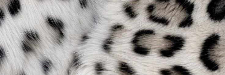 zeytaskiinn's profile banner image