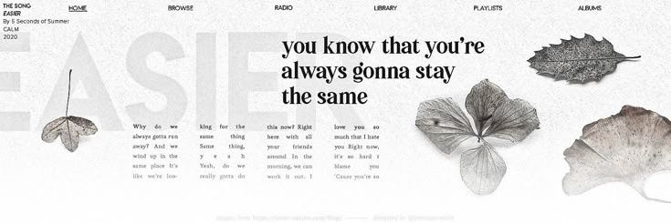 Jesse acervo rita lee banner