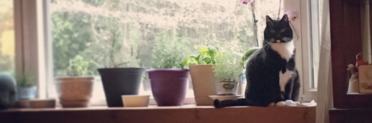 Lazeep's profile banner image