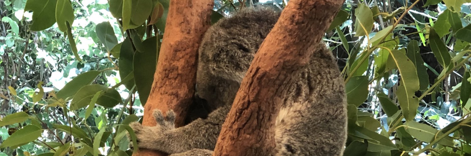 arimarama's profile banner image