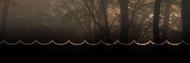 zombbvals's profile banner image
