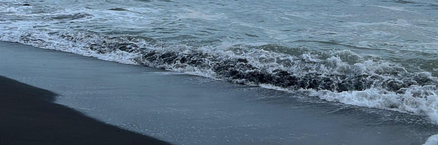 ash.nicol7 banner