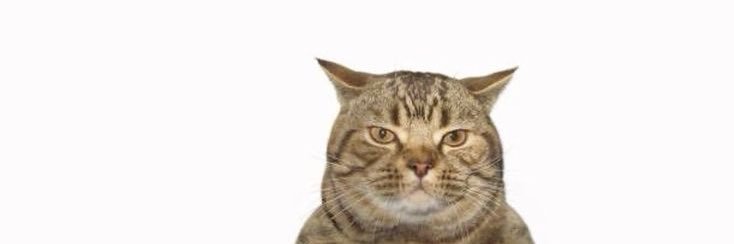 fredders18's profile banner image