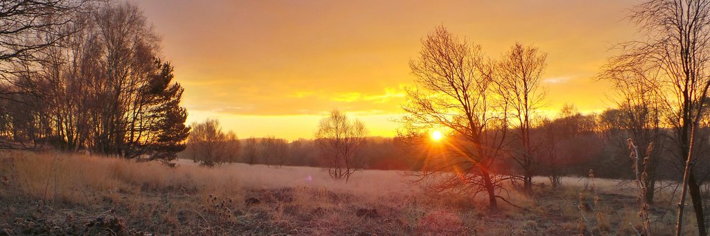 Martin Richardson banner