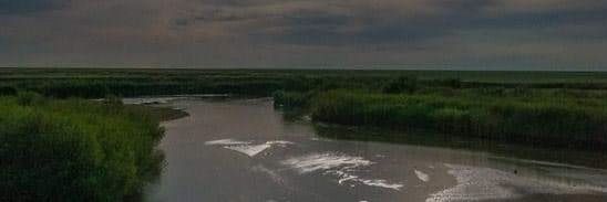 Бодонбат banner