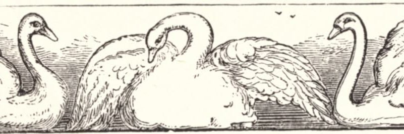 g. banner