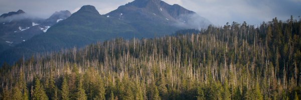 Murkowskite Profile Banner