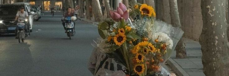 ' banner