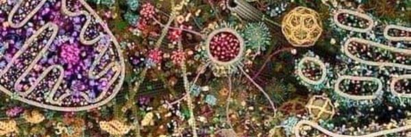 regwysocki Profile Banner