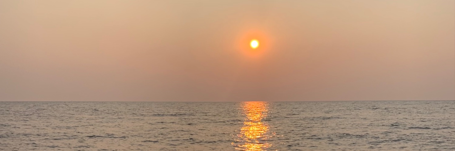emolytucci's profile banner image