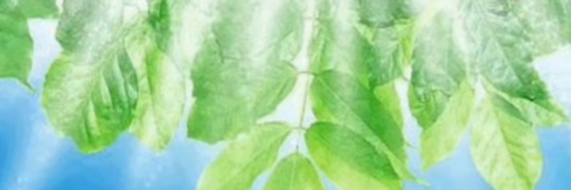 Adrien Jordan's banner