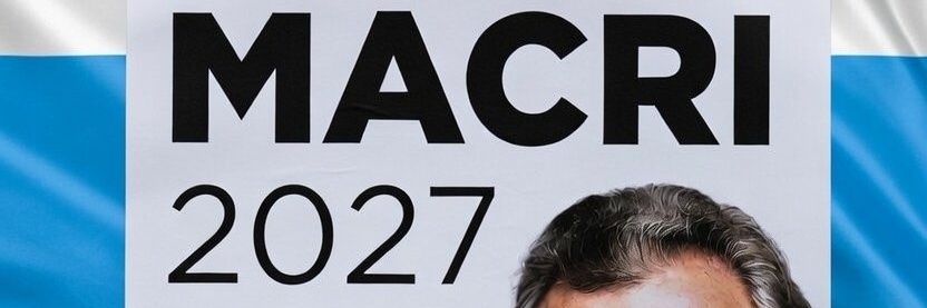 Alicia Novillo banner