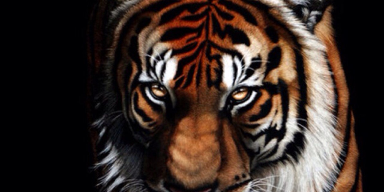 HarriyadiS's profile banner image