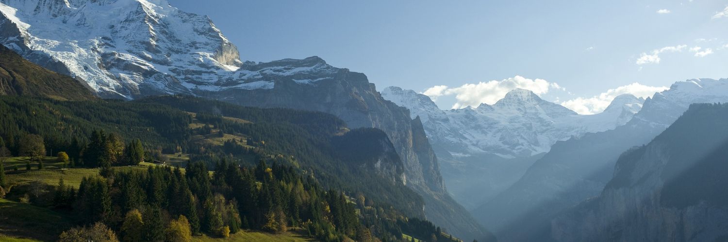Ali_Arza's profile banner image