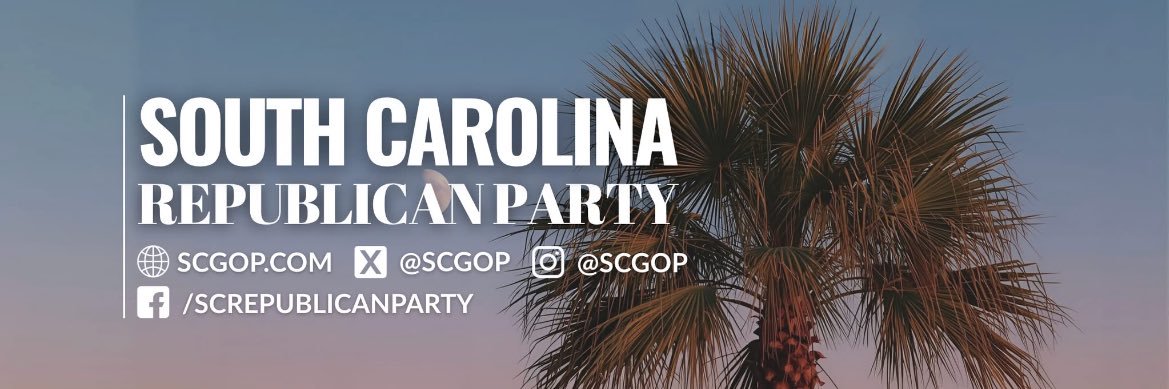 South Carolina Republican Party banner