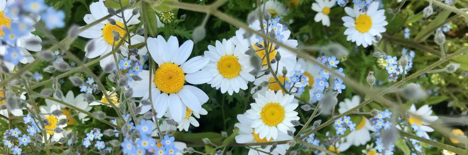 LeeSheina's profile banner image