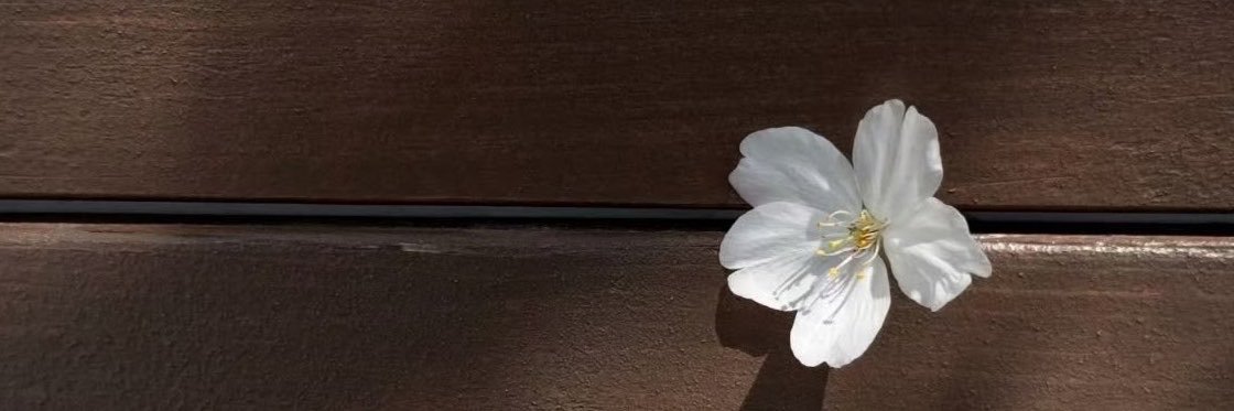 KnpKarina's profile banner image