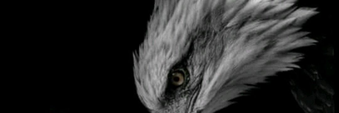 pbjonathan's profile banner image