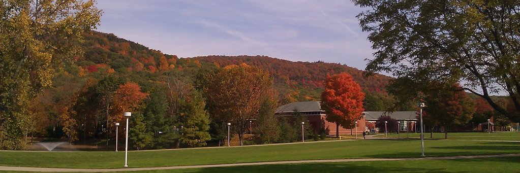 AlexanderLaskin banner