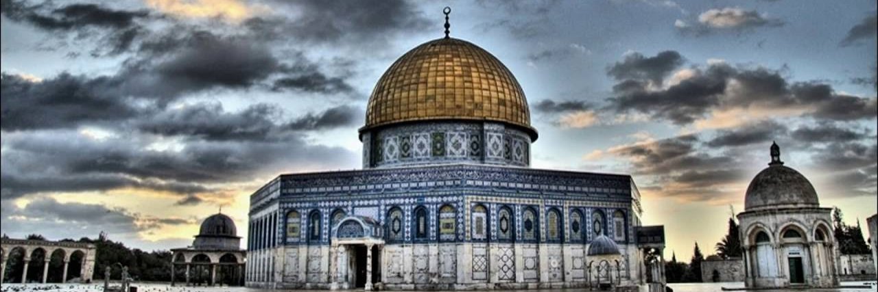 Ali tleiss - علي طليس banner