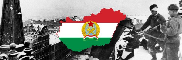 Valeshevik Profile Banner