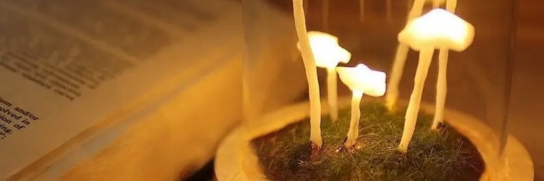 Aunty-Vyrus 🦅🌑 banner