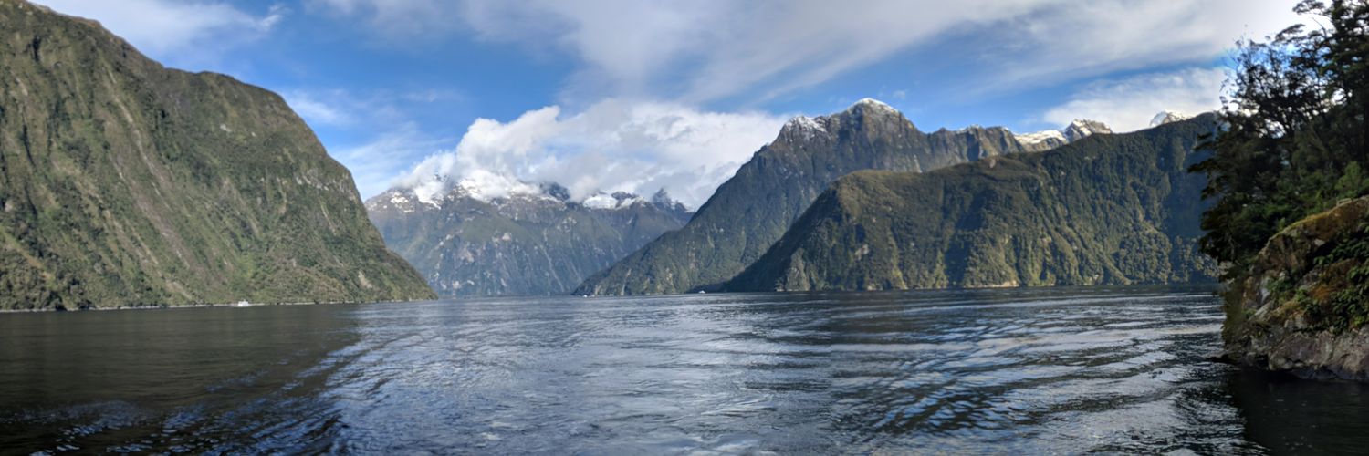 Michelle Thornton banner