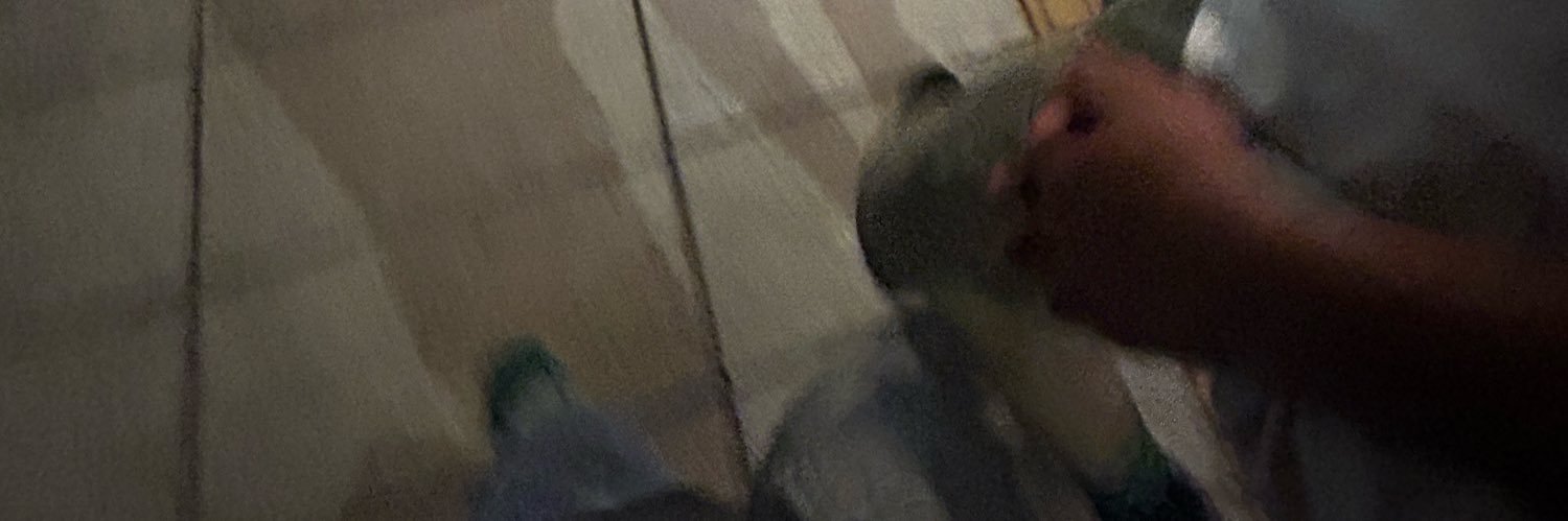 はな banner