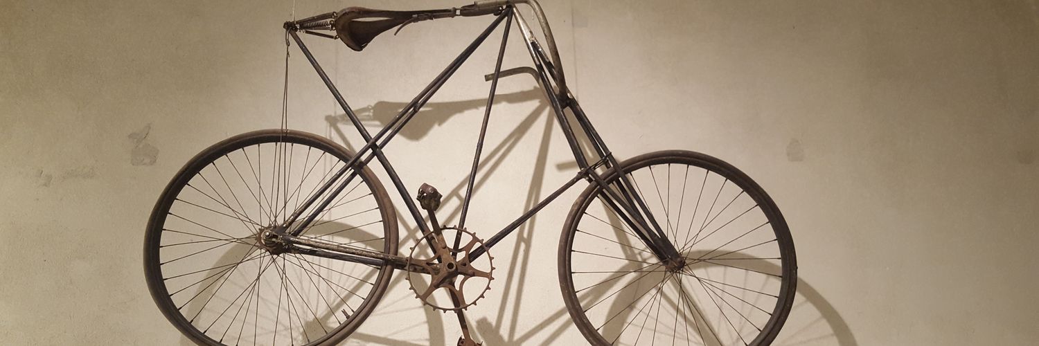 Lindsay Wiginton banner