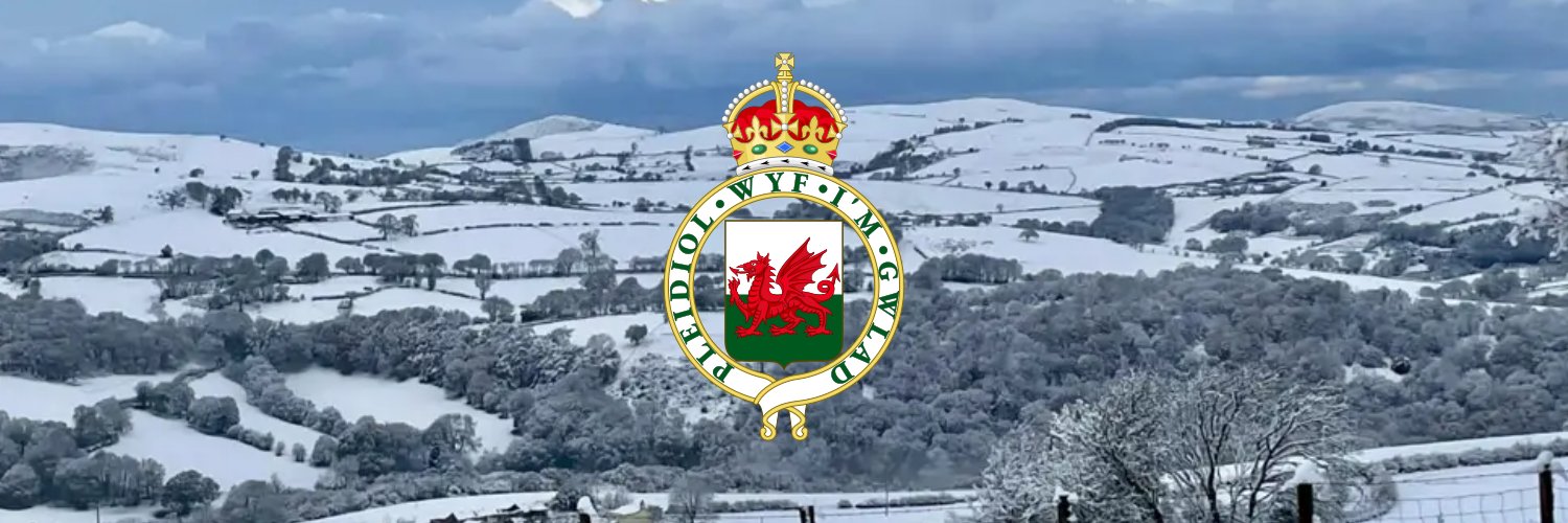 PoptyPing 🏴󠁧󠁢󠁷󠁬󠁳󠁿 banner