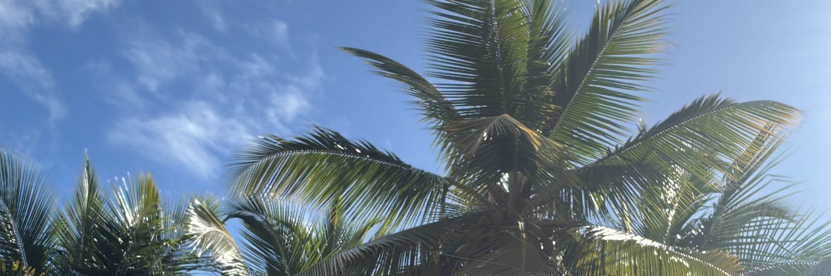 _monisisaith's profile banner image