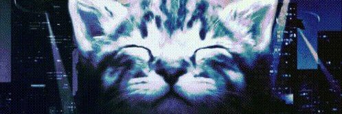 Bluster banner