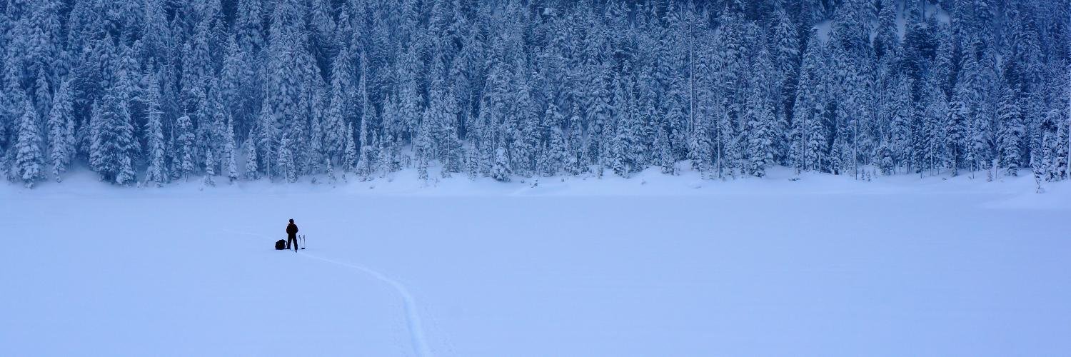 tharbottle's profile banner image