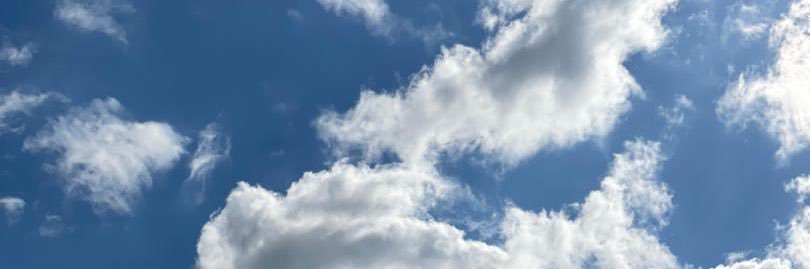 melina_slm's profile banner image
