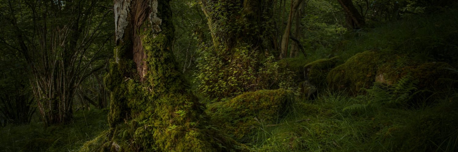 TommyMartin's profile banner image