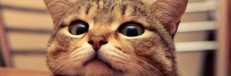 DanaDaneAList's profile banner image