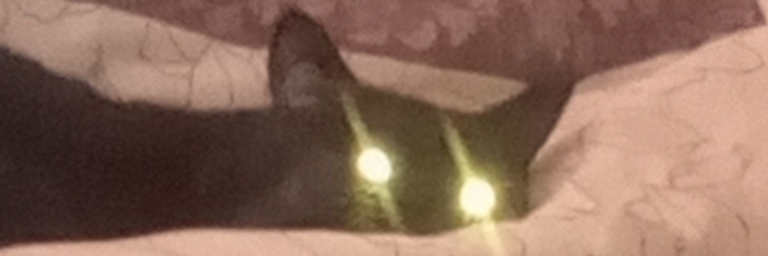 Суцільний депресняк's banner