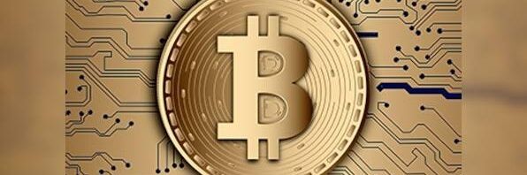 Pitbullcrypto4's profile banner image