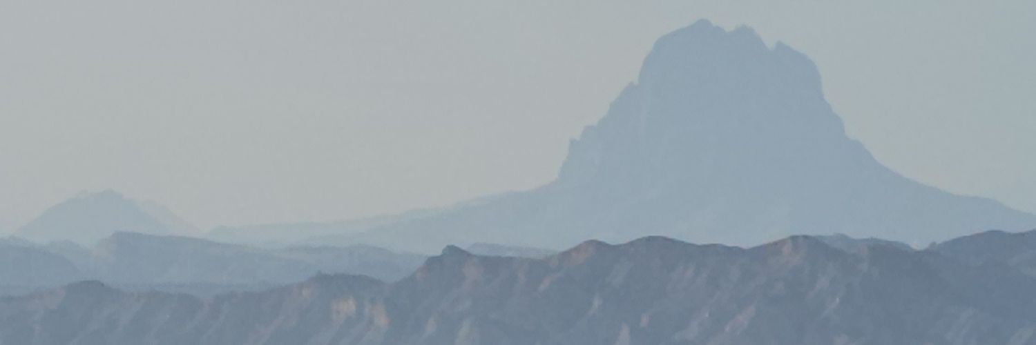 omideshghi's banner
