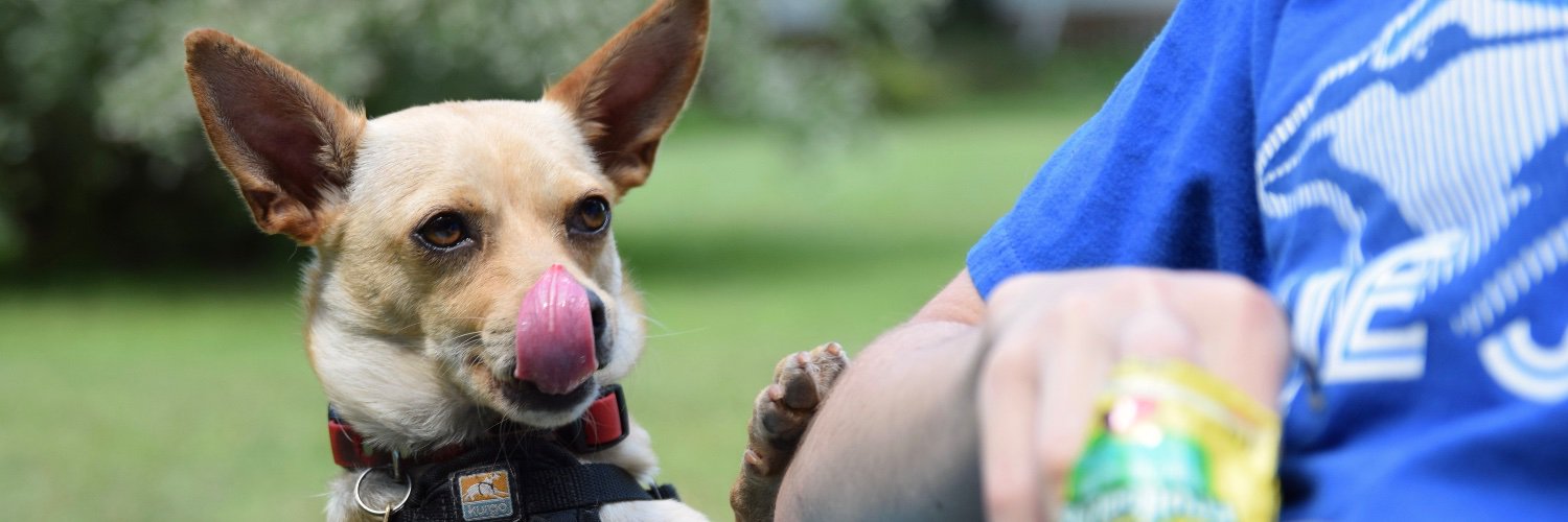 Nicole Thompson banner