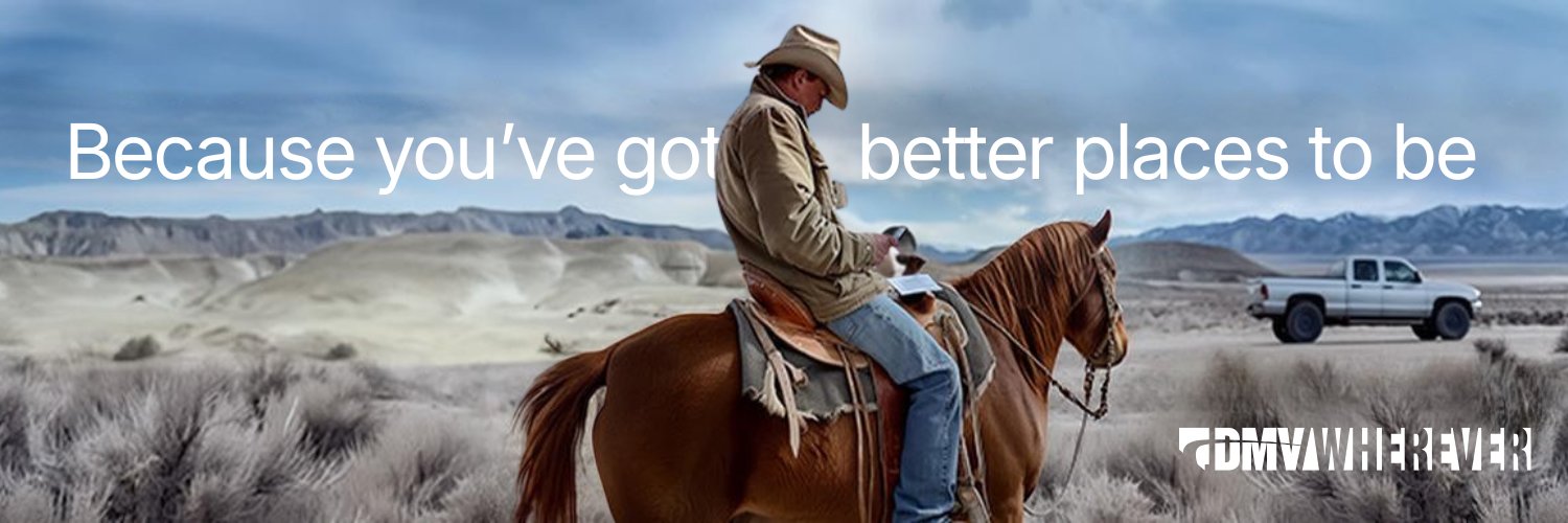 Nevada DMV banner