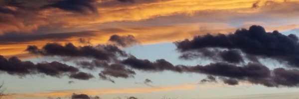 Alrogfivestar Profile Banner