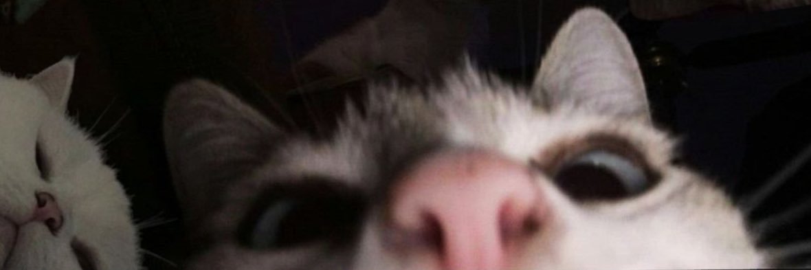 melina_sol's profile banner image